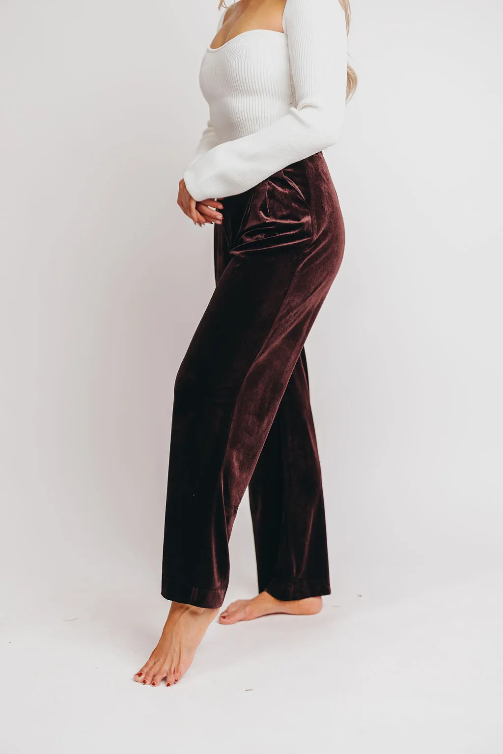 Brooks Velvet Trousers in Brown