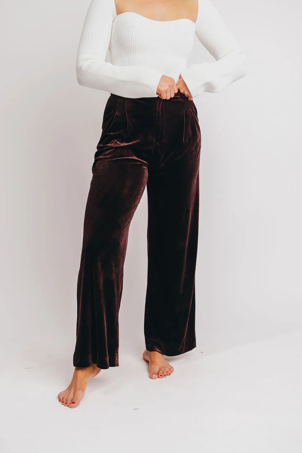 Brooks Velvet Trousers in Brown