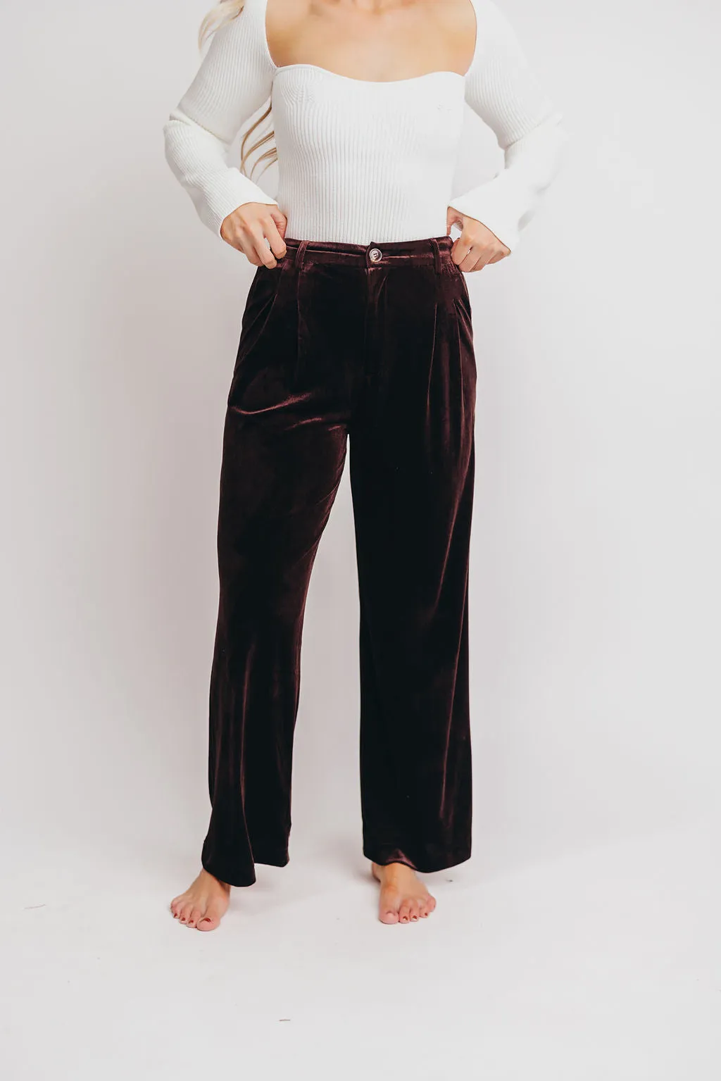 Brooks Velvet Trousers in Brown