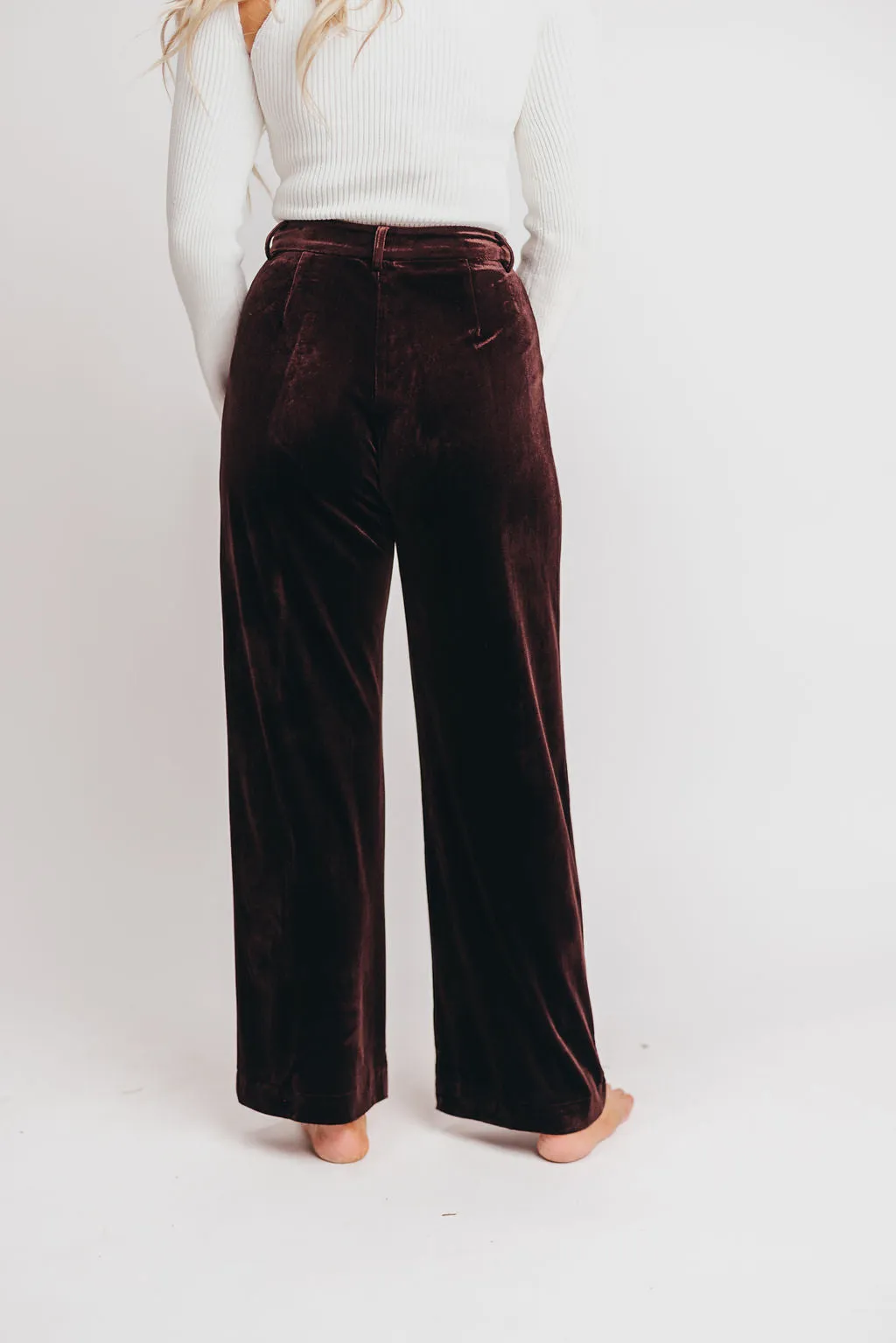 Brooks Velvet Trousers in Brown